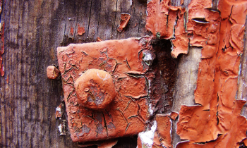CopyofDSCF0699