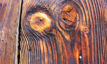CopyofDSCF0719