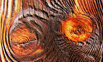 CopyofDSCF0722