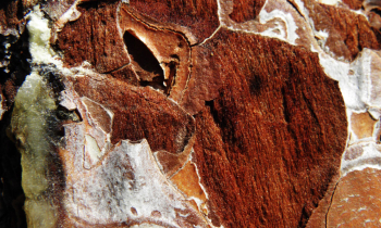 CopyofCopyofP1010160