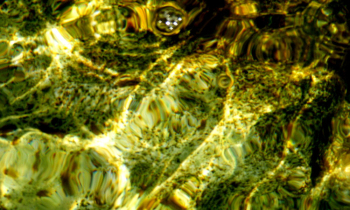 Copy2ofDSCF8572