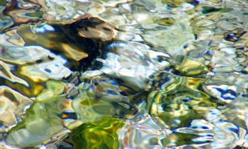 DSCF8400