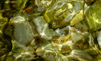 P6150686