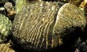 P8282668